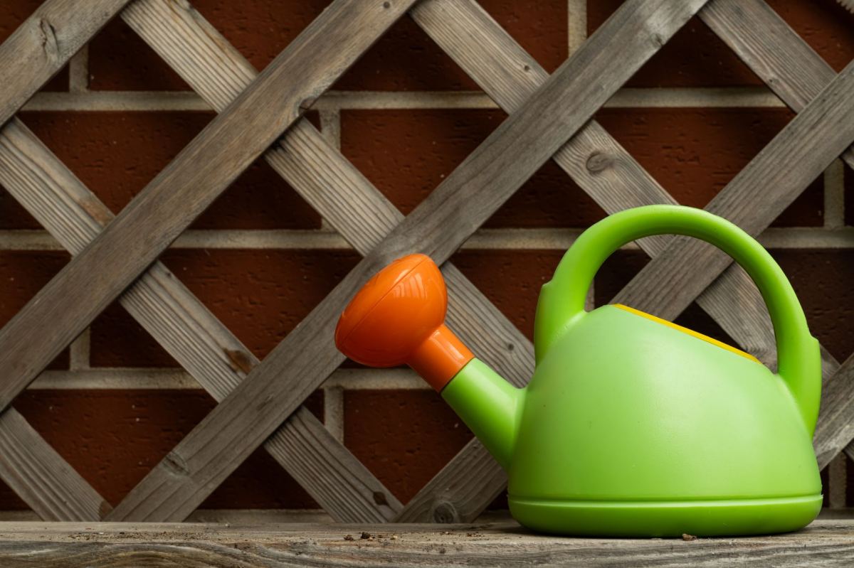 Garden Tools and Equipment Guide: What You Need and How to Choose