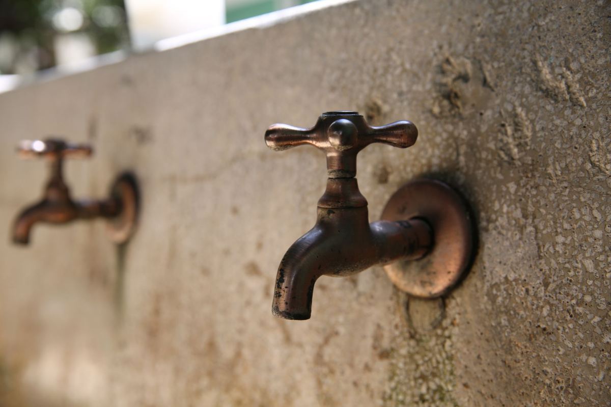 Water Conservation in the Garden: Save Water and Money