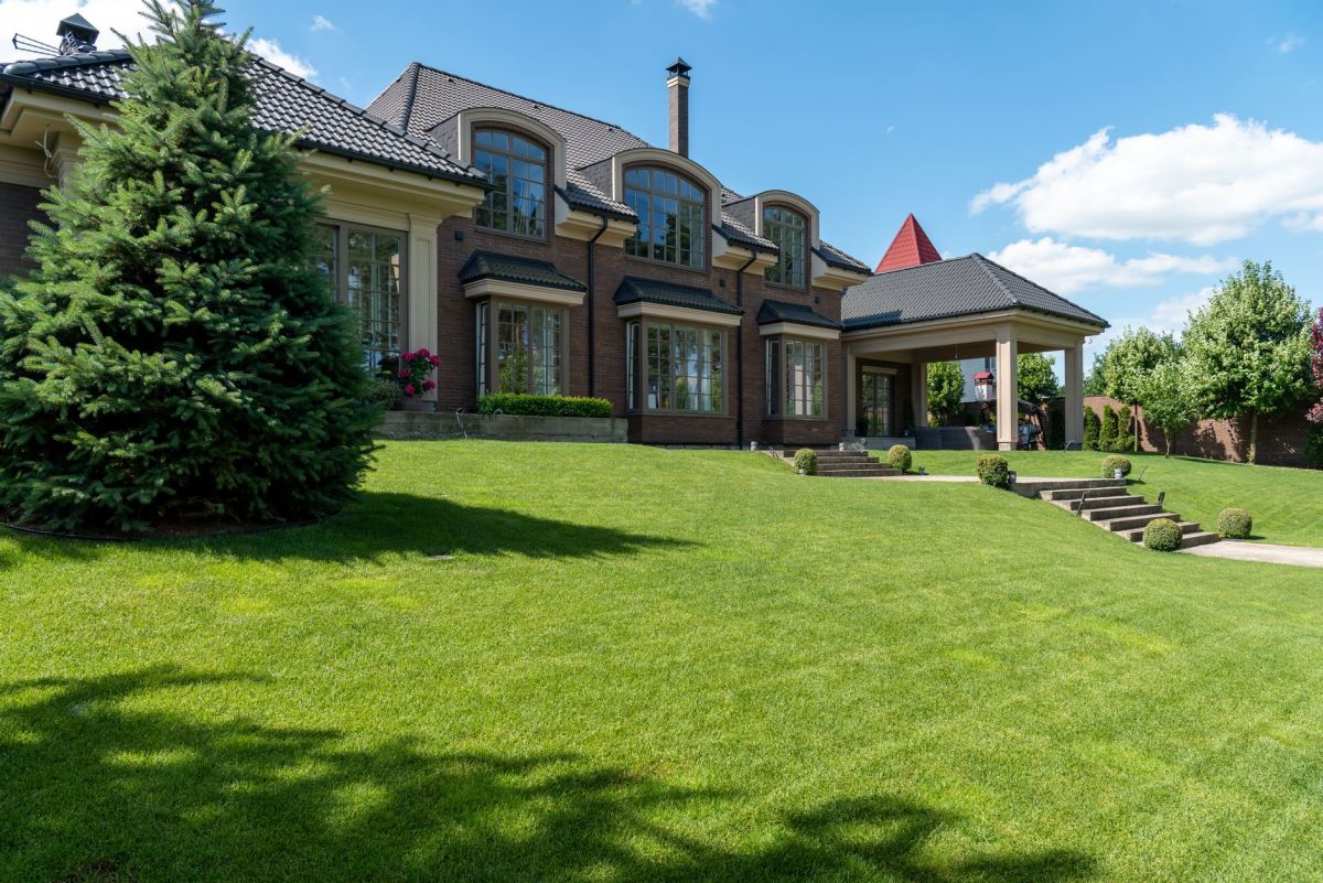 Creating a Beautiful Lawn: Seeding, Sodding, and Maintenance